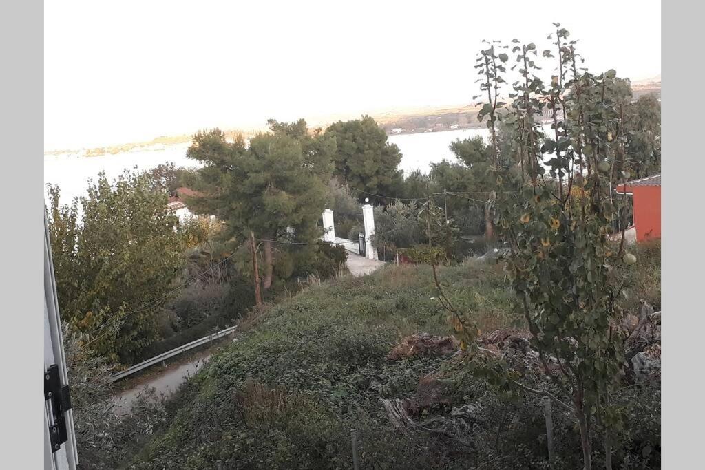 Amazing Sea View-Neos Pyrgos Beach -Evoia Greece Néos Pírgos Exteriör bild